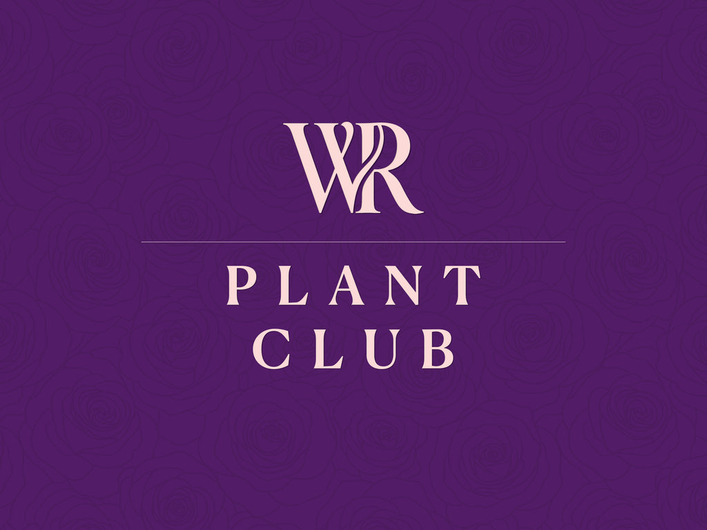 Plant Subscription