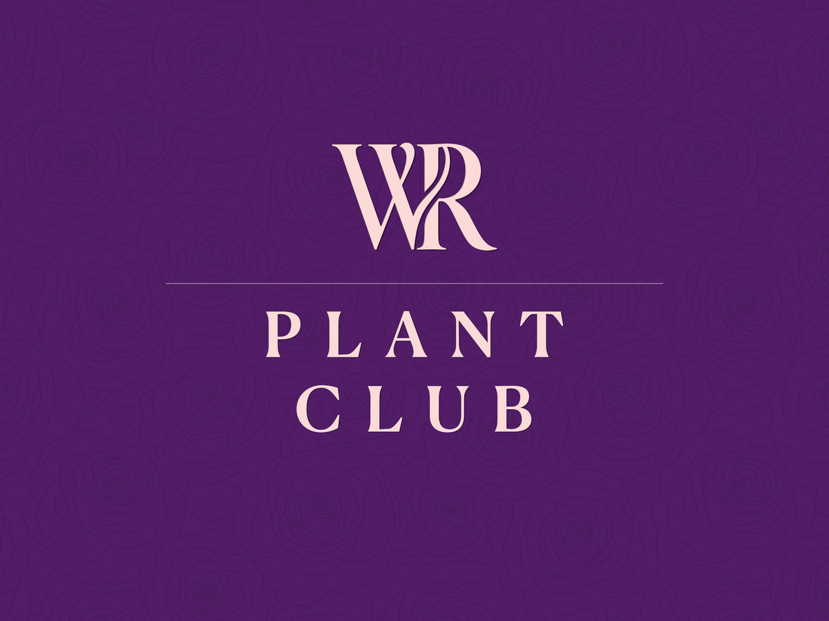 Plant Subscription