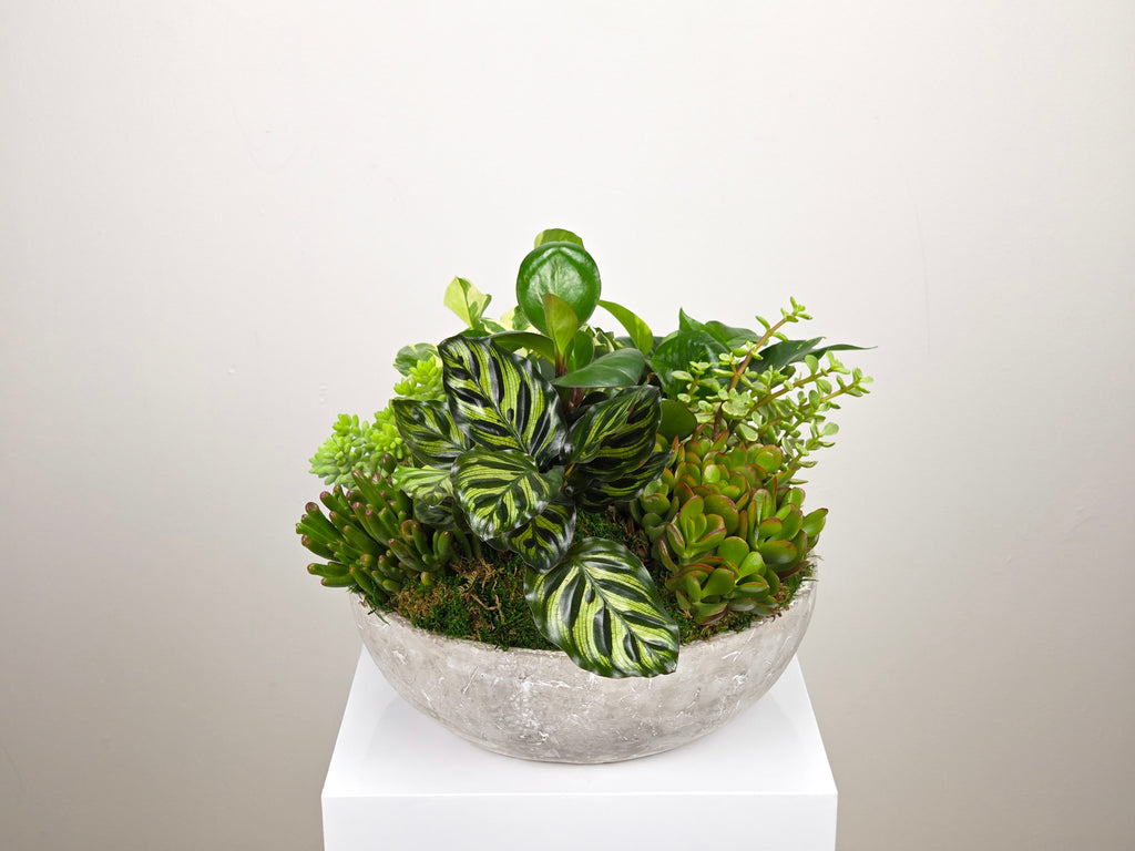 Fertile Green