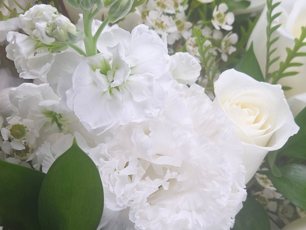 Hush