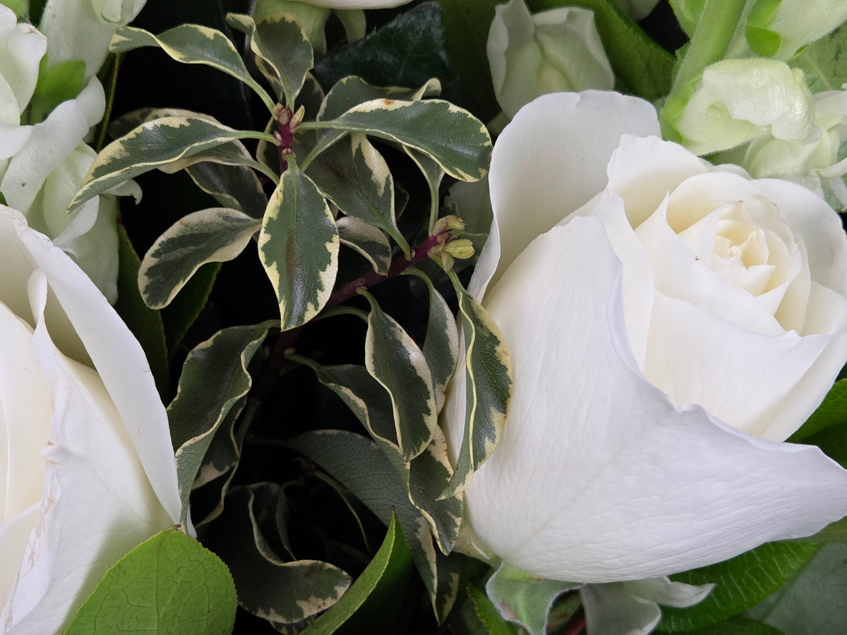 The Eternal